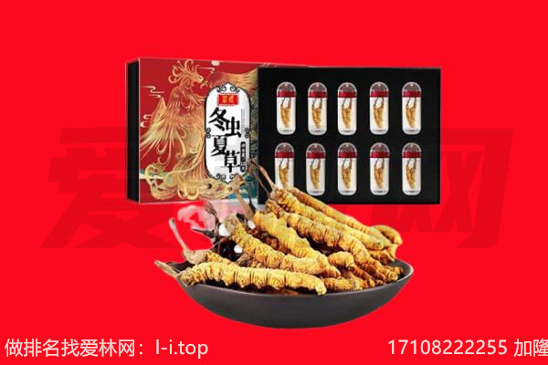 福州市长乐回收虫草.jpg